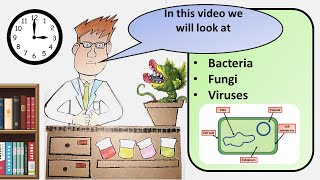 GCSE Biology Pathogens Revision [upl. by Yzzo]