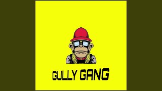 Gully Gang [upl. by Mathias]