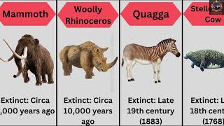 Here Are The 20 Notable Extinct Animals Along With The Approximate Times Animals Comparison [upl. by Efron275]