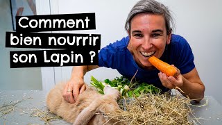 Comment bien nourrir son Lapin  🐰 [upl. by Vanya]