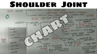 Shoulder Joint  1  Feature and Ligament  Upper Limb Anatomy  TCML [upl. by Shevlo848]