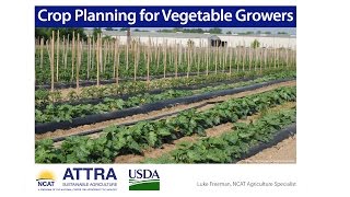 Crop Planning for Vegetable Farmers [upl. by Giraldo654]