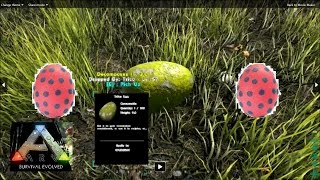 ARK Survival Evolved 1080p  Breeding  How to Hatch Eggs [upl. by Thelma318]