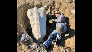 Major California Fossil Find  Camels Mastodon amp Bone Crushing Dogs [upl. by Landers]