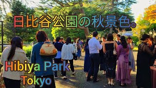 Hibiya Park Autumn Walking tour Tokyo Japan [upl. by Stavros558]