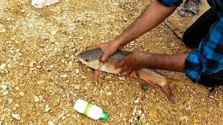 hub dam fishing September 6 2024 [upl. by Maitilde197]