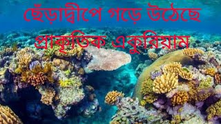 ছেড়াদ্বীপের প্রাকৃতিক এ্যাকুরিয়্যাম natural aquarium of SheRa dip Saint Martin [upl. by Skillern]