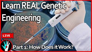 LIVE Learn Genetic Engineering  Part 1 How does it work [upl. by Marwin761]