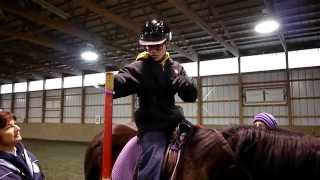 Different Goals in Hippotherapy and Therapeutic Horseback Riding [upl. by Aihtenak]