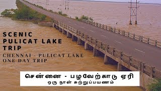 Pulicat Lake Tour  Chennai to Pulicat Lake AP One Day Trip  Scenic Route [upl. by Anawat]