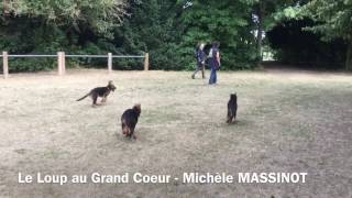 Sortie de pré éducation canine avec Michèle Massinot du Loup au Grand Coeur [upl. by Coster231]