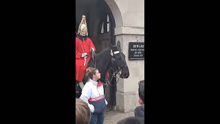 Tourist slaps horse across the the face guard shouts get back horseguardsparade [upl. by Anailuy115]