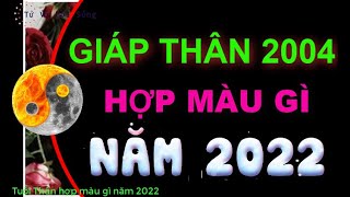 Tuổi Giáp Thân 2004 hợp màu gì 2022 [upl. by Hcnarb317]