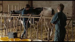 Petit Paysan  La Bande Annonce VF [upl. by Bernadette]