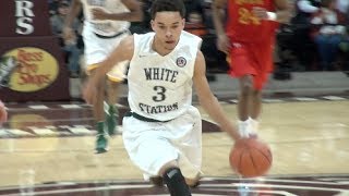 Chris Chiozza Florida Bound Senior Mixtape [upl. by Ancell]