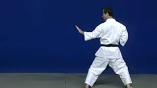 Wado Ryu Karate kata niseishi [upl. by Casteel]