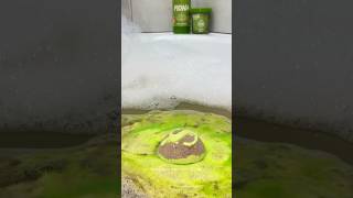 Как можно купаться в БОЛОТЕ шрек болото ванна бомбадляванны shrek bathtime [upl. by Malvie]