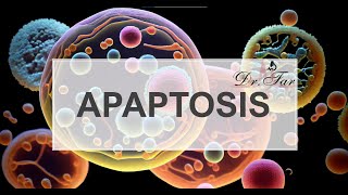 Lesson 6How Decreased Apoptosis Fuels Cancer [upl. by Ekal]