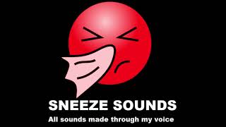 Sneeze Sounds Sneezing noisesVoiceoversFunnyEnjoying [upl. by Aigroeg]