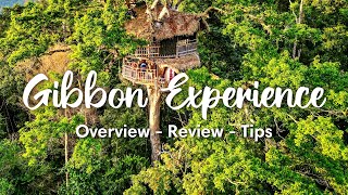 THE GIBBON EXPERIENCE LAOS 2024  Overview 3Day Classic Tour  Honest Review amp Tips [upl. by Oretos]