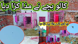 Kalo bacha nay maza kra day [upl. by Anivid]