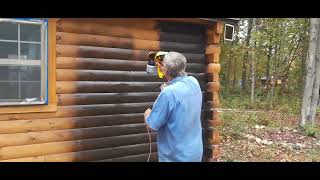 Staining the cabin [upl. by Ellenrad]