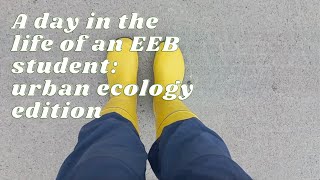 A day in the life of an Ecology and Evolutionary Biology student  University of Helsinki [upl. by Joao]