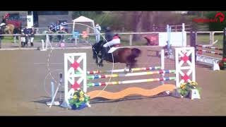 British Showjumping Highlights May 2024 [upl. by Adnuhsat]