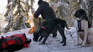 Vinter i Ullensaker [upl. by Barta]