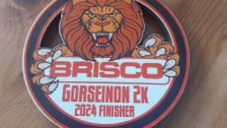 Brisco Gorseinon 10K amp 2K Family Fun Run [upl. by Liane277]