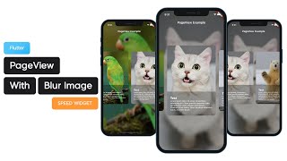 Flutter PageView With Blur Image  Speed Widget [upl. by Clemens]