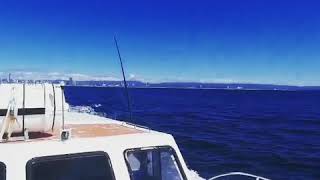 Gold coast fishing charters [upl. by Comstock]