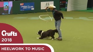 Amazing Cowboy routine in Freestyle Heelwork to Music  Crufts 2018 [upl. by Bertero]