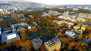 Autumn Scenery at Hokkaido University [upl. by Koziarz]