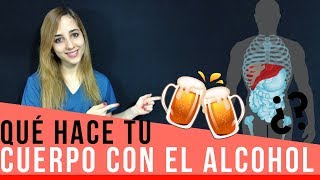 ¿QUÉ HACE TU CUERPO CON EL ALCOHOL  Mentes Médicas [upl. by Mahgirb]