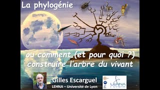 La Phylogénie ou comment et pour quoi construire larbre du vivant [upl. by Mohammed]