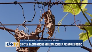 Siccità la situazione nelle Marche e a Pesaro e Urbino [upl. by Schilt]