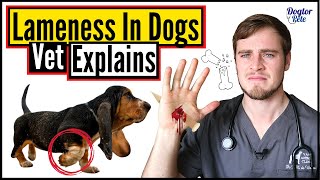 Why Is My Dog Lame  Causes And Treatment Of Lameness In Dogs  Veterinarian Explains  Dogtor Pete [upl. by Akemit201]