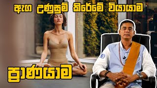 ප්‍රාණයාම ඇග උණුසුම් කිරේමේ වියායාම Pranayama பிராணாயாமம் Ruwan weeraratna 074 0277773 [upl. by Ailyt433]