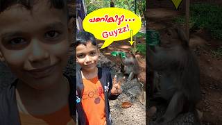 Tour to Munnar Cumbum grapes farm 🍇🍓 shorts [upl. by Keller]