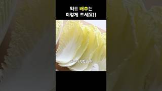 배추덮밥 진작 이렇게 먹을걸 간단요리 [upl. by Son]