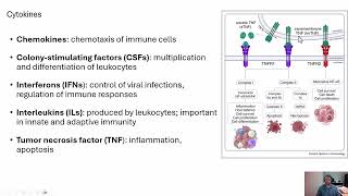 Microbiology Mononuclear Phagocyte System [upl. by Nnahoj604]