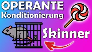 Operante Konditionierung nach Skinner  Lernen durch Verstärkung [upl. by Elleirua193]