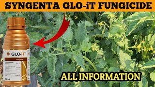 SYNGENTA GLOiT FUNGICIDE  GLOiT FUNGICIDE  gloit syngenta [upl. by Guild]