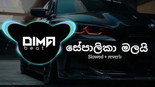 sepalika malaiසේපාලිකා මලයිDima Beats like subscribe srilanka sinhala song [upl. by Norrehs]