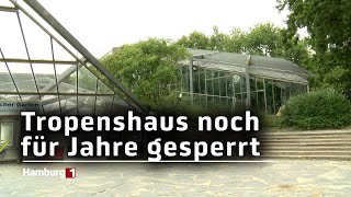 Wiedereröffnung für 2029 geplant Sanierungspläne für das Tropenhaus in Planten und Blomen [upl. by Myrtia]