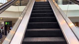 OTIS Up Escalator in JCPenneyBoscovs Court at Woodbridge Center  Woodbridge NJ [upl. by Strickler]