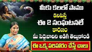 కలలో పాము ఇలా కనిపిస్తే నిర్లక్ష్యం చేయకండి  Kalalo Pamu Kanipiste  Snake In Dreams  Nagamani [upl. by Ayr]