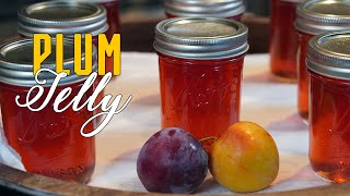 Plum Jelly Canning Recipe Canning for Beginners [upl. by Harlie493]