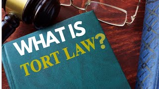 What Is Tort  Civil Wrong  Salmond  Winfield  Fazer  UnLiquidated Damages [upl. by Apollus249]